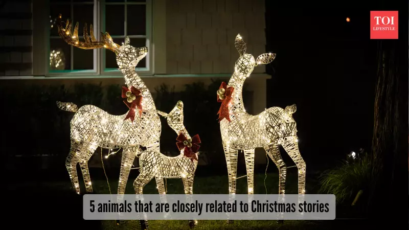 Beyond Reindeer: 5 Animals That Hold Special Meaning for Christmas
