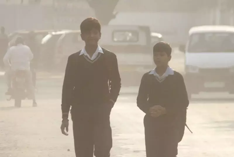 Beyond Smog: How Toxic Heavy Metals in Polluted Air Cause Fatigue and Brain Fog