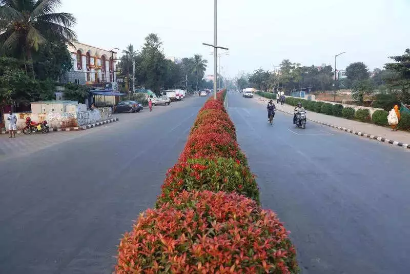 Bhubaneswar's Green Streets & Cricket Fever: BMC's Makeover & T20 Buzz