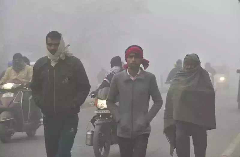 Bihar Fog Alert: IMD Warns of Dense Fog, Cold Day Conditions Till Dec 21