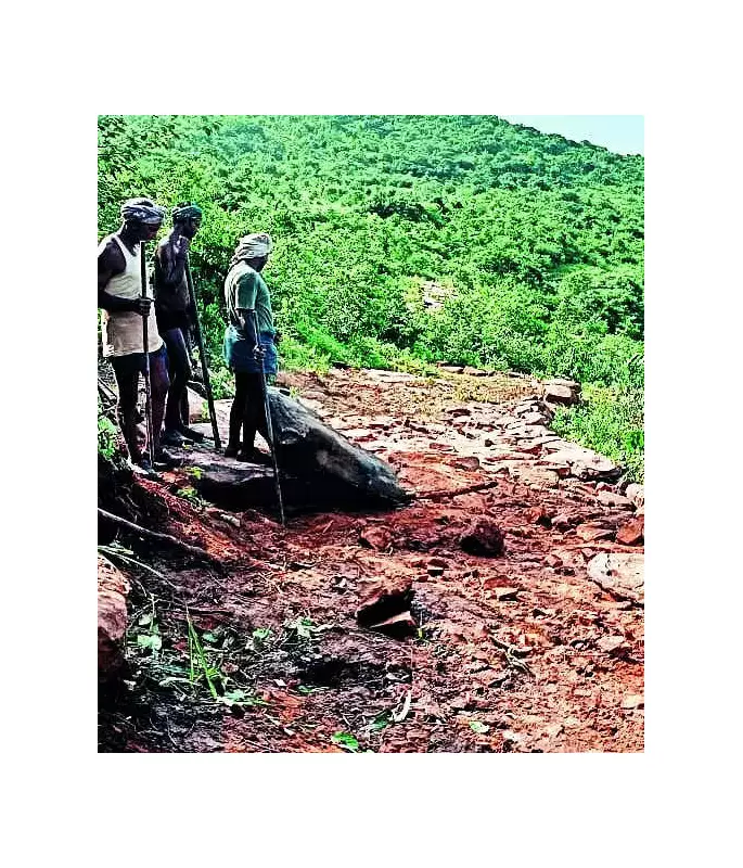 Bihar's 'Bachelor Village' on Tourism Map Highlights Infrastructure Crisis