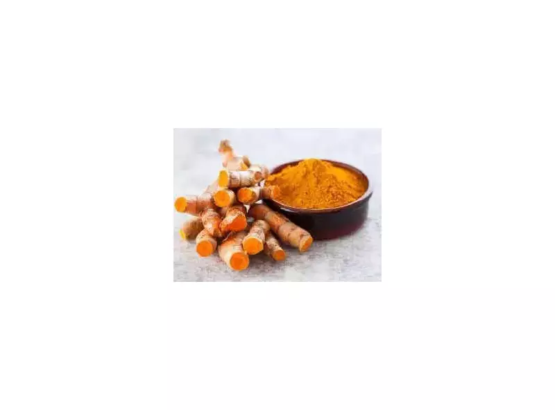 Bihar's Rajendra Sonia Turmeric Aims for GI Tag with 8% Curcumin