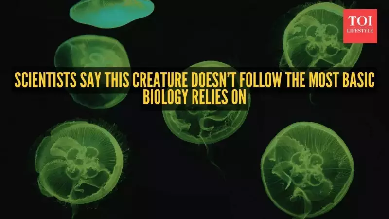 Biology's Core Rule Broken: Microbe Thrives with Ambiguous Genetic Code