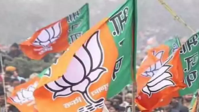 BJP's Rural Punjab Setback: Wins Only 7 Zila Parishad Seats, 1 Vote in Satoj Village