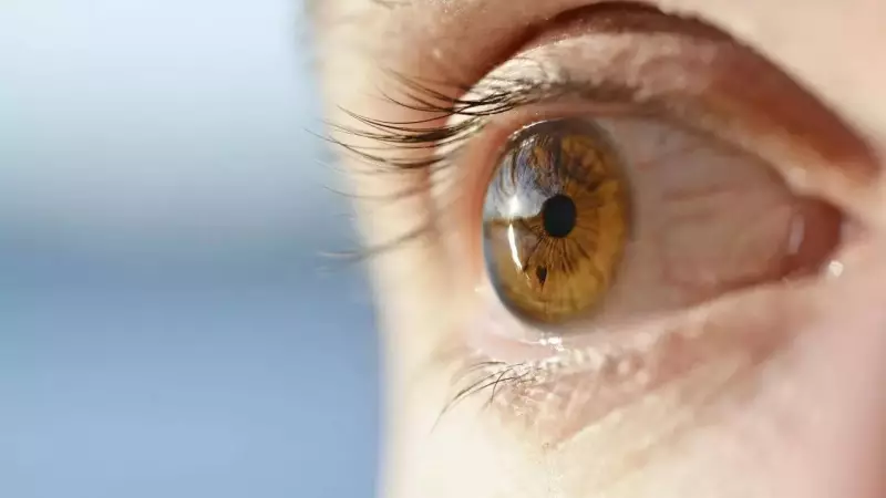 Blinking Rate Reveals True Attention: Study Shows How Eyes Signal Focus