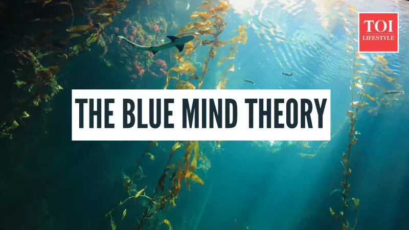 Blue Mind Theory: How Water Rewires Your Brain to Reduce Stress