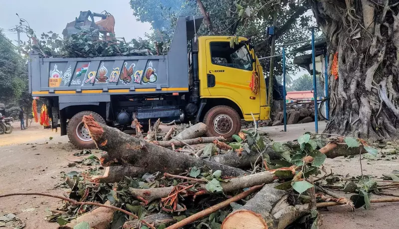 BMC Cuts Trees Near Bhubaneswar Airport for Aircraft Safety After Months of Push
