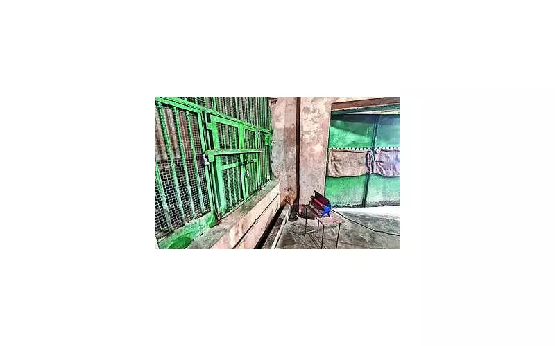 Bokaro Zoo's Winter Care: Heaters, Honey & Nutrition for Animals