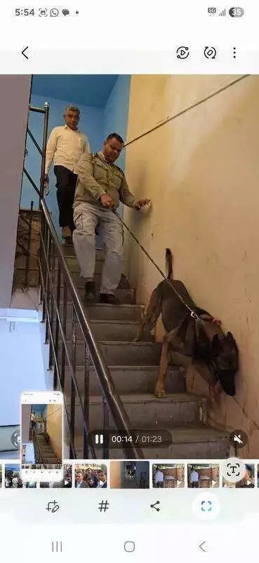 Bomb Threat at Barmer Collectorates Evacuates Office, Targets Rajinikanth