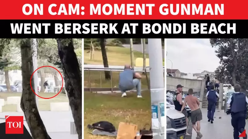 Bondi Beach Attack: New Video Shows Shooter Opening Fire at Hanukkah Festival