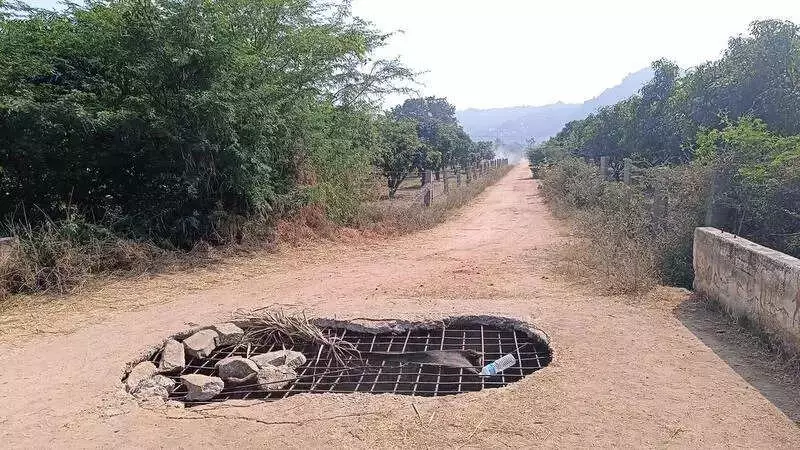 Bridge Collapse Cuts Off Access to 3,000-Year-Old Hirebenkal Tombs in Koppal