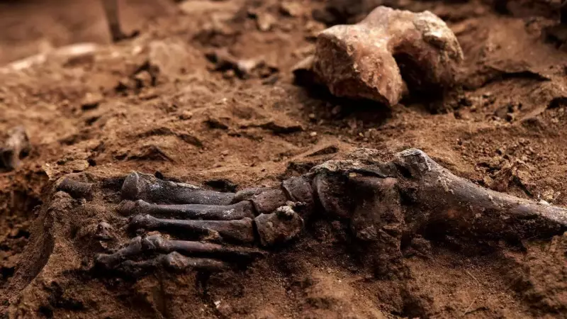Bronze Age DNA Reveals Oldest Case of Parent-Child Incest in Italy