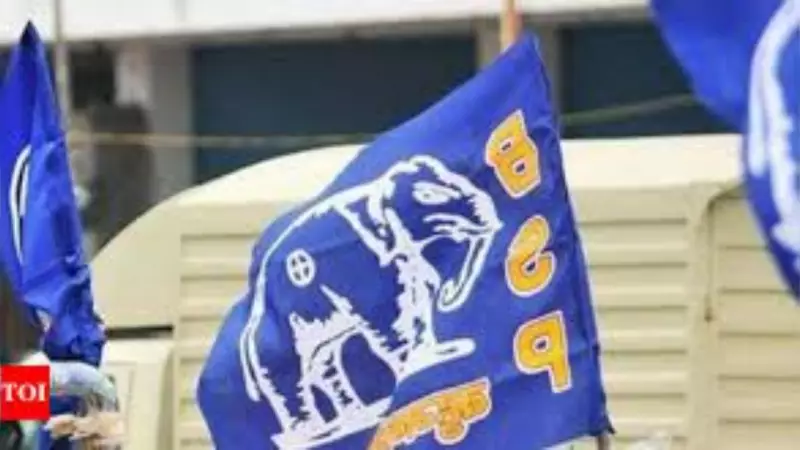 BSP Wins 3 Zila Parishad Zones in Jalandhar, Shows Regional Strength
