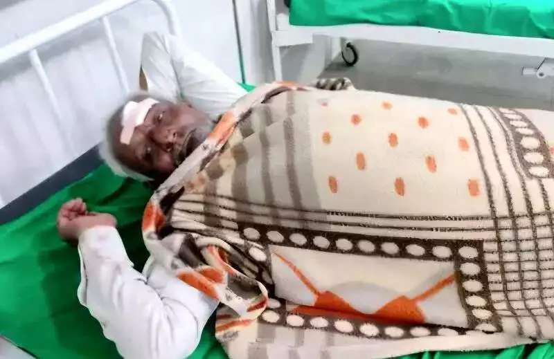 Bus Overturns Near Karjan, 10 Injured on NH-48 in Vadodara District