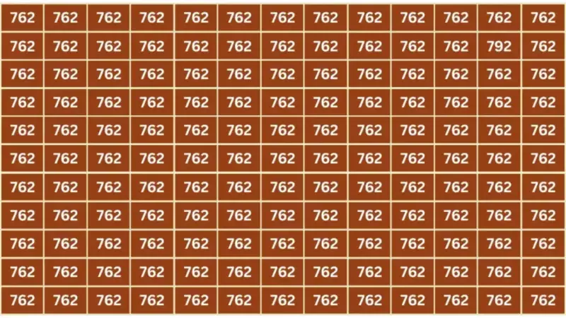 Can You Spot the 792? This Viral Puzzle Tricks Your Brain