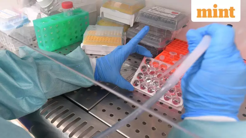 Cancer Death Rates Fall 30%: How Vaccines, AI & Prevention Are Winning the War