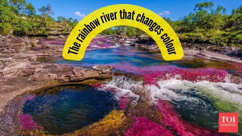 Caño Cristales: Colombia's 5-Colour River That Defies Nature's Palette