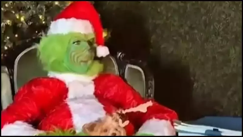 Celine Dion's Grinch Parody: Singer's Festive Video Steals Christmas Spotlight