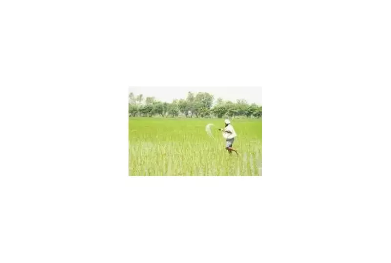 Chamba Forms Dharti Mata Bachao Committees to Curb Fertiliser Misuse