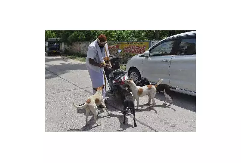 Chandigarh Acts on SC Order: Nodal Officers Appointed for Stray Dog Removal