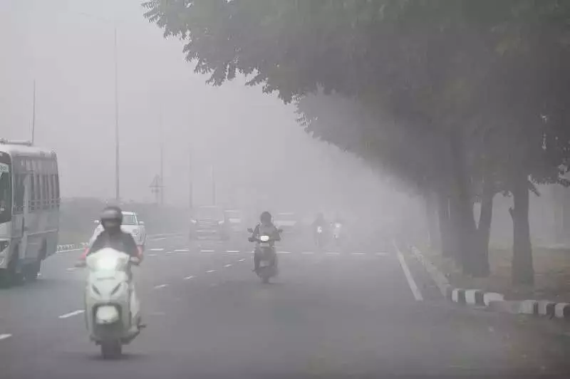 Chandigarh's First Dense Fog of Season Cuts Visibility to 150 Metres, Yellow Alert Issued