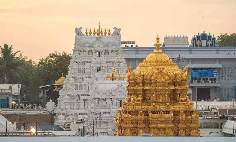 Chaos at Tirupati: 24-Hour Darshan Wait, Crowd Surge During Year-End Rush