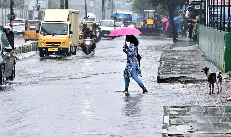 Chennai Flood-Prone Areas Stay Dry Despite 12cm Rain, Officials Cite Drain Work