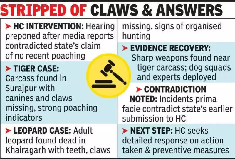 Chhattisgarh HC Demands Answers on Tiger, Leopard Poaching Reports