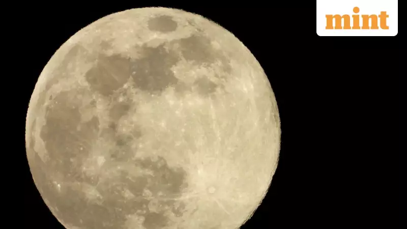 Cold Moon 2025: Final Supermoon of Year Dazzles, Next One in Jan 2026