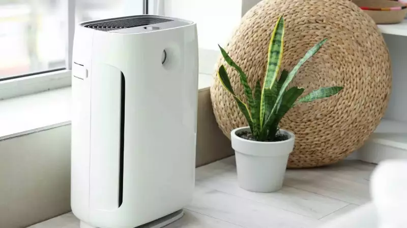 Croma Reports 30% Surge in Air Purifier Sales, Delhi NCR Leads with 72% Share
