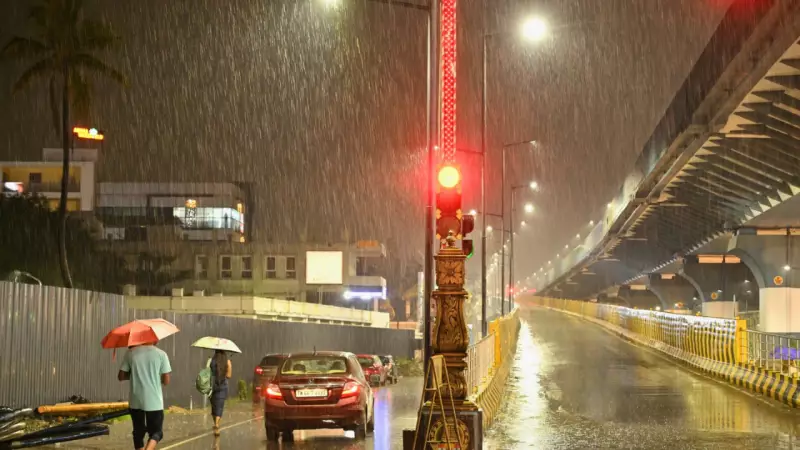 Cyclone Ditwah Aftermath: 4 Dead, Crops Destroyed as Chennai Battles Floods