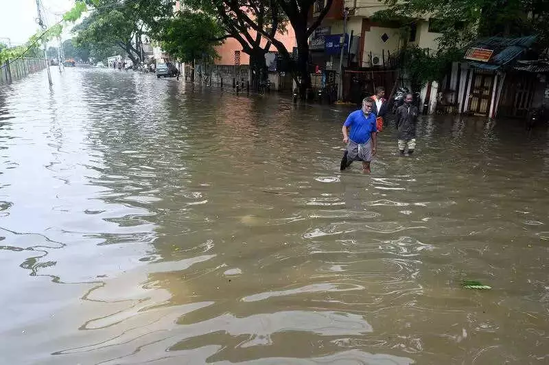 Cyclone Ditwah Death Toll Reaches 4 in Tamil Nadu, Over 85,500 Hectares of Crops Inundated