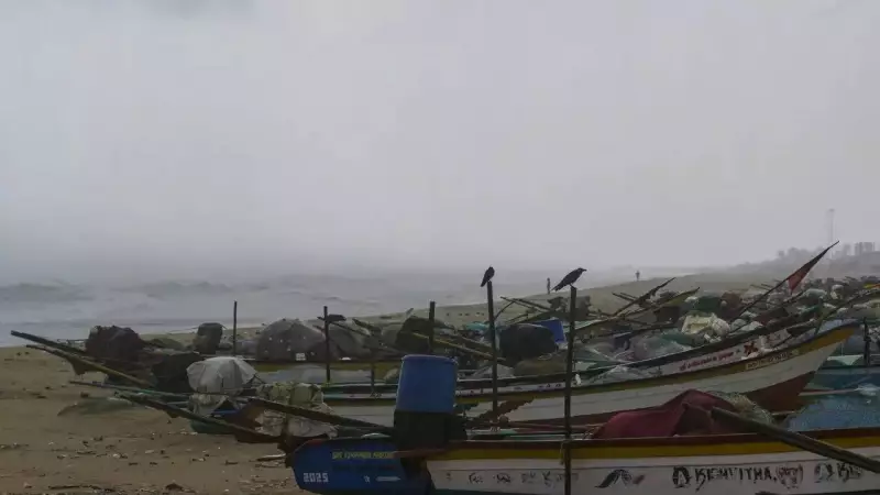 Cyclone Ditwah: Red Alert for Chennai, 3 Dead; Schools Shut Amid Heavy Rain