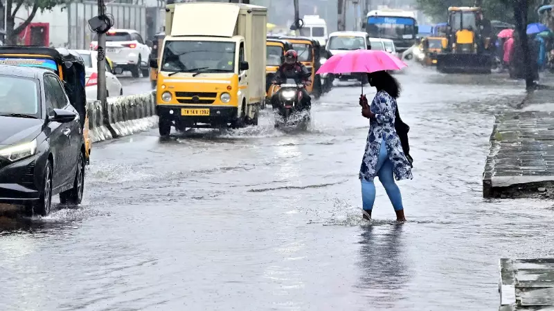 Cyclone Ditwah Takes U-Turn, Drenches Chennai with 20cm+ Rain; More Forecast