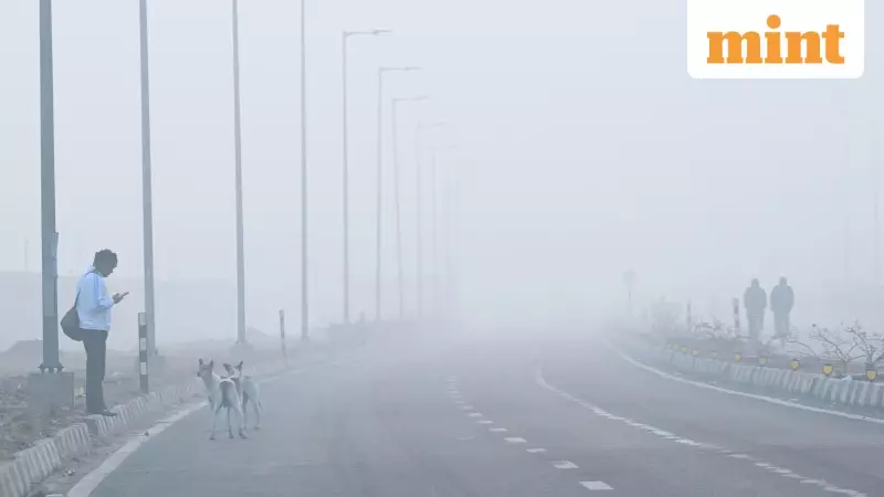 Delhi AQI Hits 390, Fog Alert Issued: 19 Stations in 'Severe' Zone