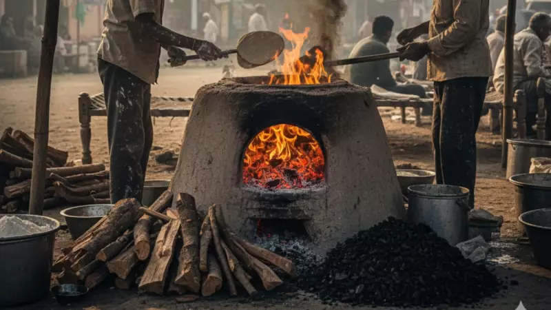 Delhi Bans Coal & Firewood in Tandoors to Combat Severe Air Pollution