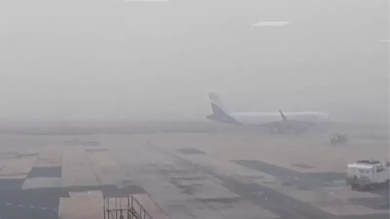 Delhi Fog Lifts: IGI Airport Resumes Smooth Operations After Morning Disruptions