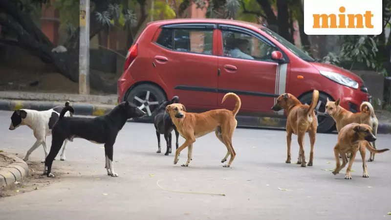 Delhi Govt Clarifies: Teachers Not Deployed for Stray Dog Count, Nodal Officers Appointed