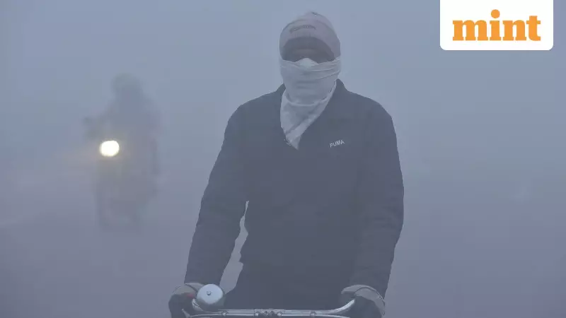 Delhi NCR Schools Closed Until Jan 1 Due to Dense Fog and Cold Wave