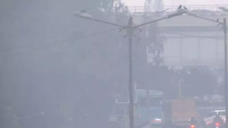 Delhi's Air Quality Plummets Again: AQI Crosses 300 After Brief Relief