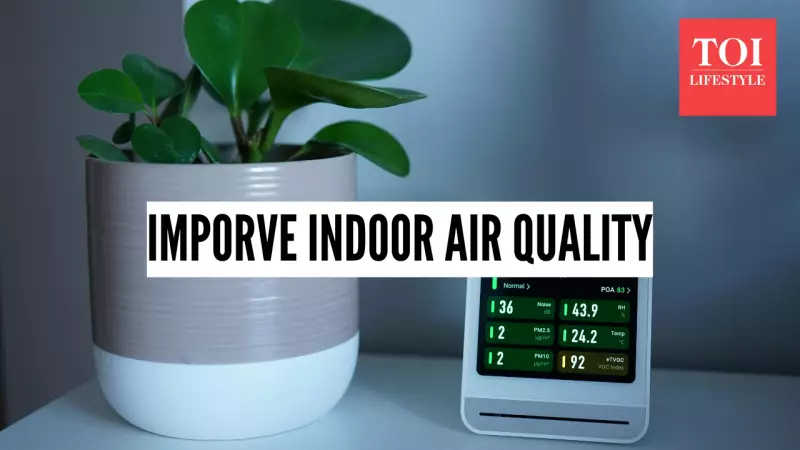 Delhi's Hazardous Air: Expert Tips to Improve Indoor Air Quality
