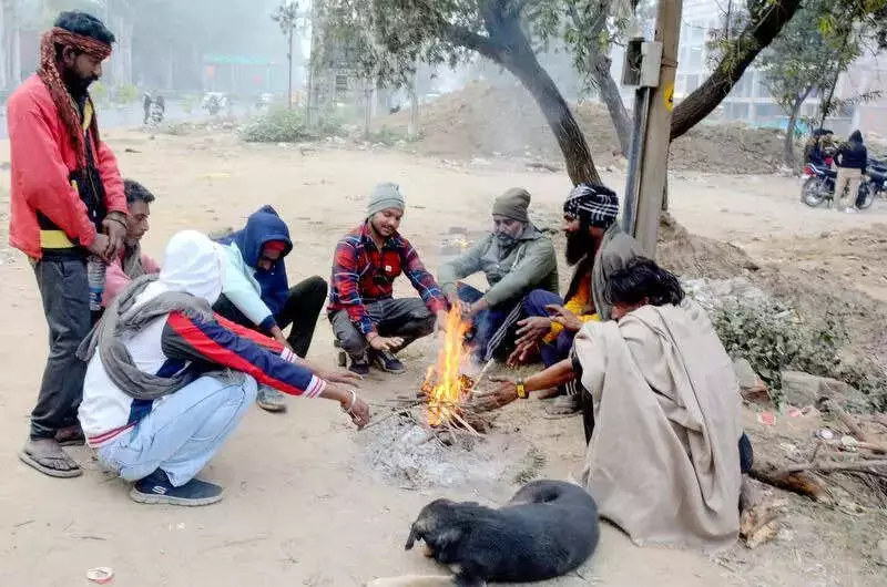Dense Fog & Cold Wave Grip North India; IMD Issues Heavy Snowfall Alert for Himachal