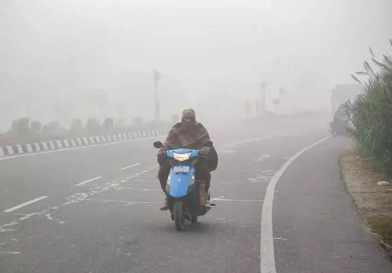 Dense Fog Grips Punjab & Himachal, Temperatures Plummet to 4.8°C