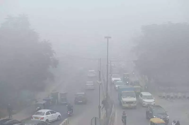 Dense Fog Paralyzes Jind, Rohtak; Accidents Spike, Visibility Near Zero