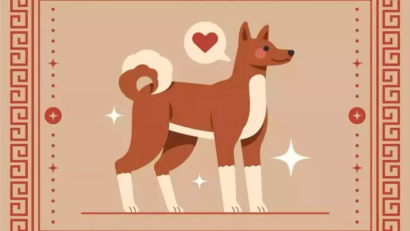 Dog Chinese Zodiac 2026 Horoscope: Career, Finance, Love & Health Forecast