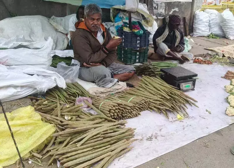 Drumstick Price Soars to ₹500/kg in Krishnagiri Due to Supply Crunch