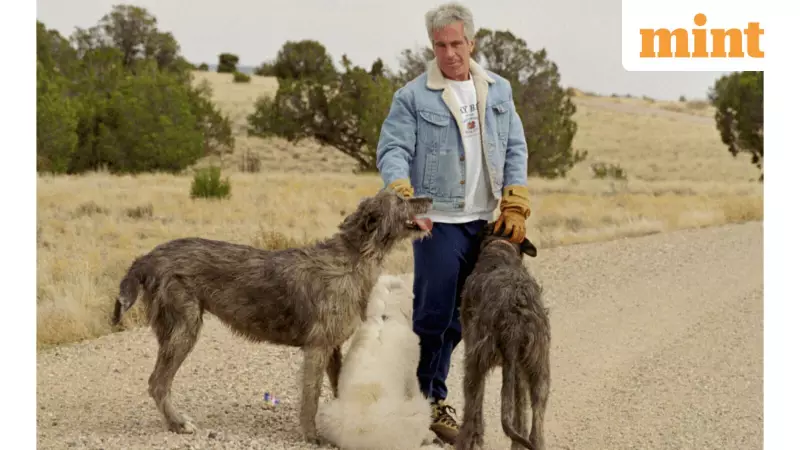 Epstein Files Mystery: 'File 468' with Trump Photo Vanishes, Sparks Cover-Up Claims