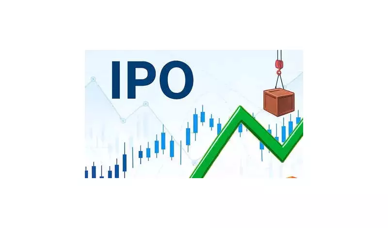 EPW India Raises ₹9.04 Cr from Anchor Investors Ahead of IPO Launch