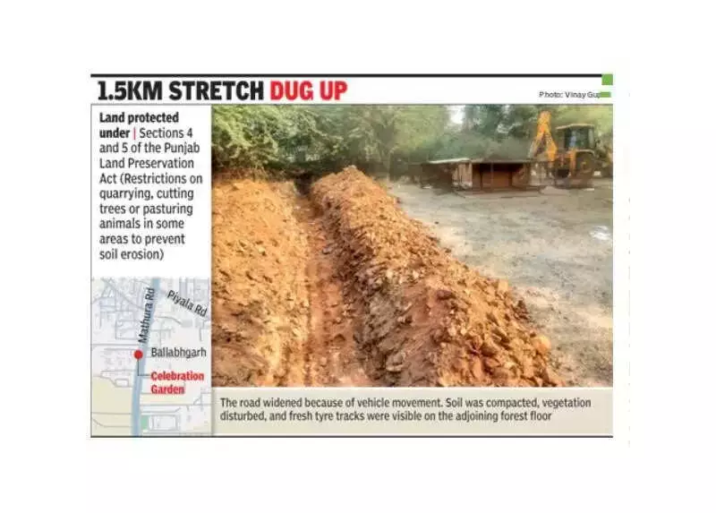 Faridabad Digs Up Forest Road to Protect Aravali Land, Stops Encroachment