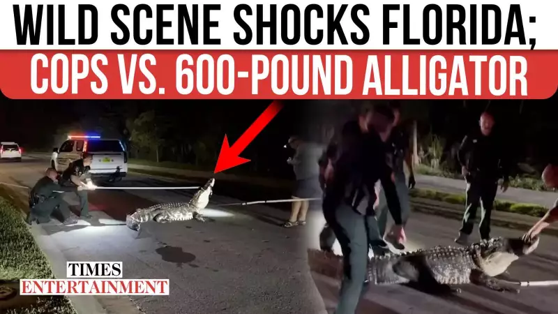 Florida's 600-Pound Alligator Wrestled by 7 Deputies in Dramatic Capture
